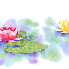 Схема вышивки «Акварель.Лотосы. Ibaragi Yoshiyuki (Япония)»