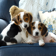 Схема вышивки «Друзья»