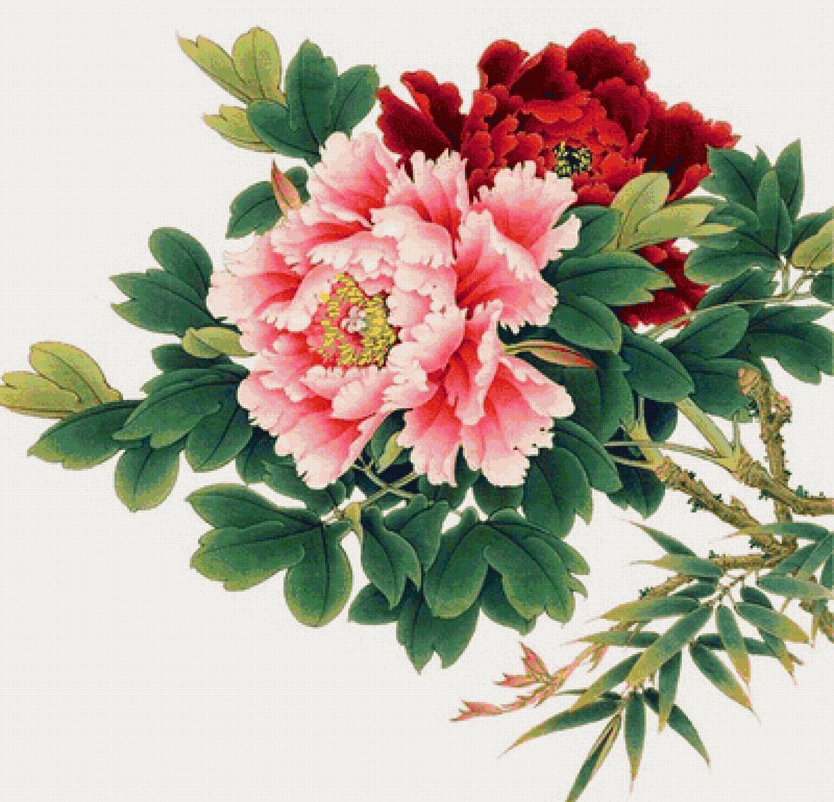 Цветы - рисунок, цветы - предпросмотр