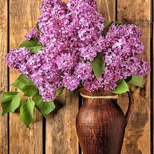 Схема вышивки «№1915423»