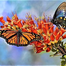 Схема вышивки «№1915507»