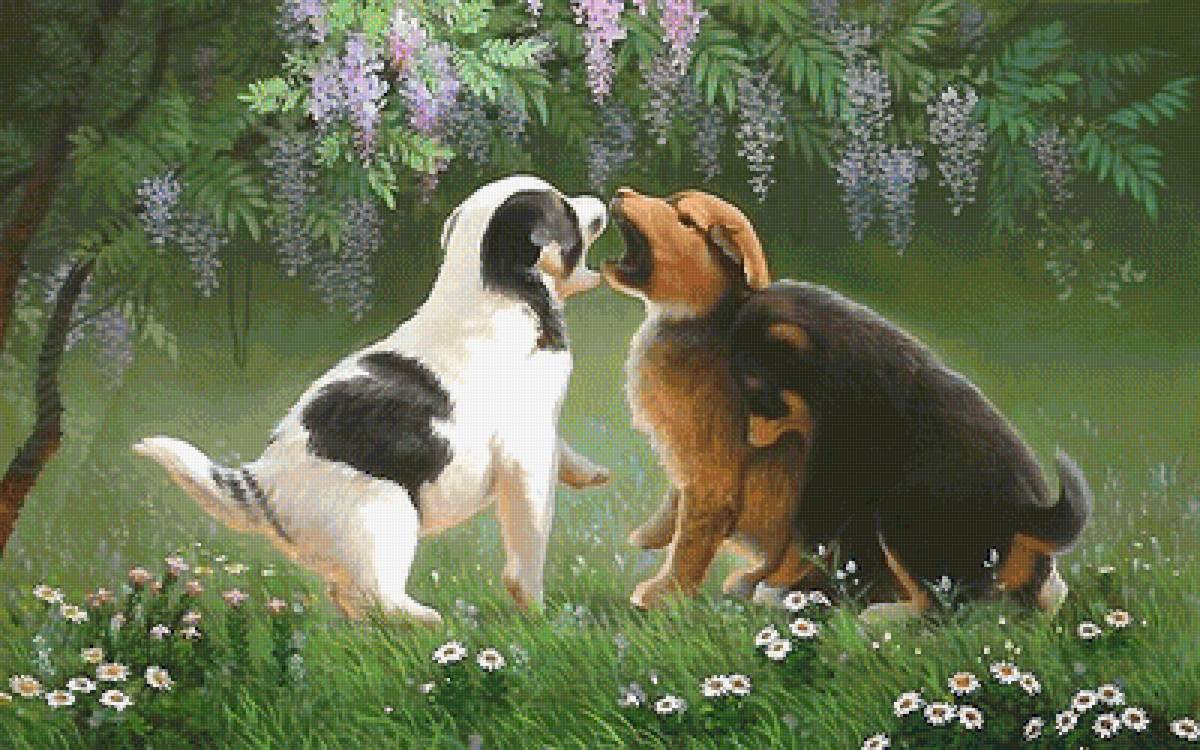 собаки - щенки - предпросмотр