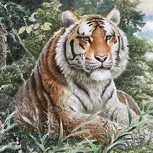 Схема вышивки «тигр»