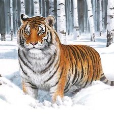 Схема вышивки «тигр»