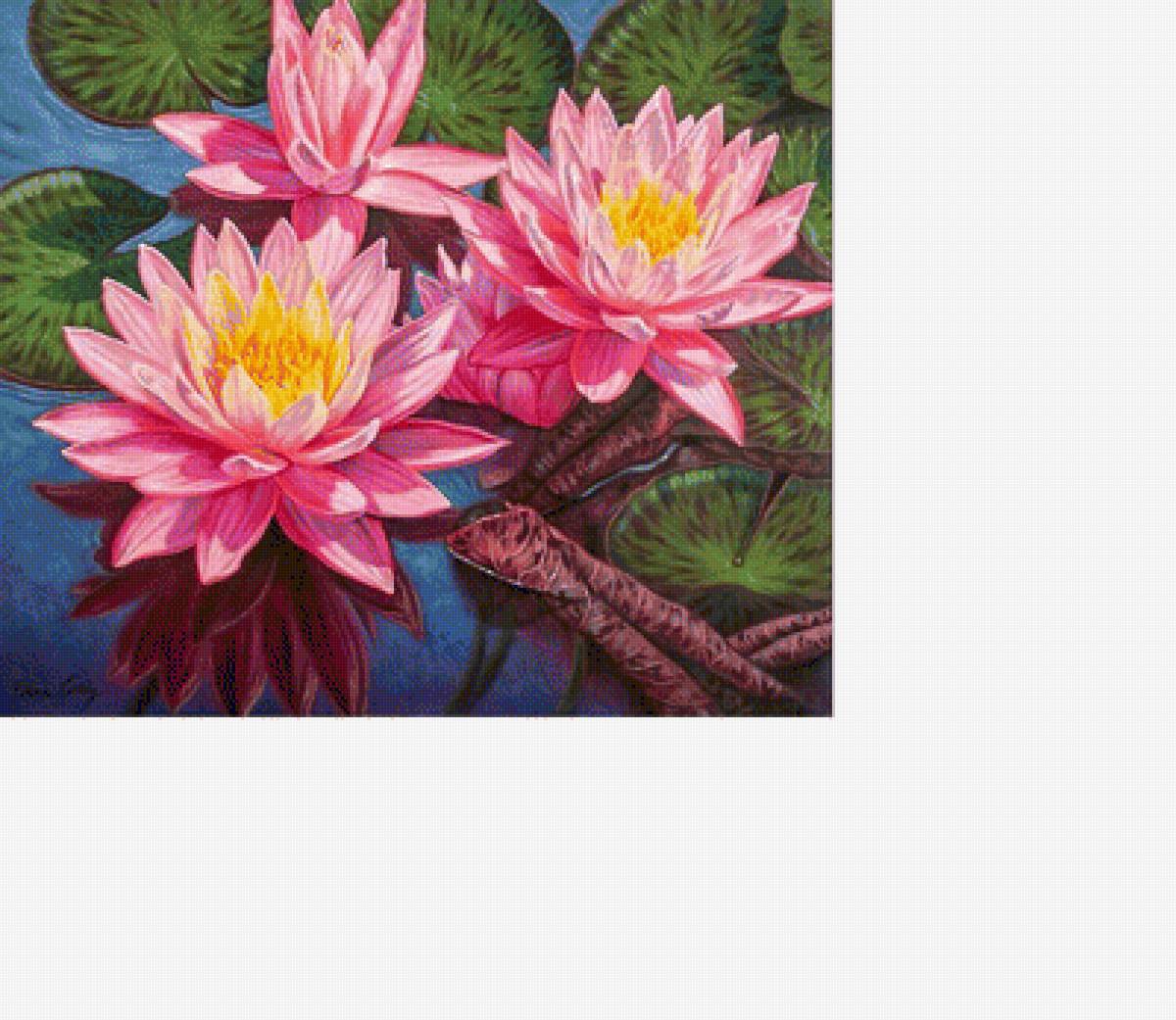 Лотос 2 - цветы, лотос - предпросмотр