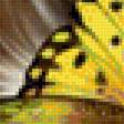 Предпросмотр схемы вышивки «dog cane» (№1915834)