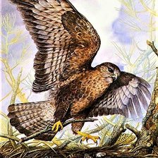 Схема вышивки «№1915889»