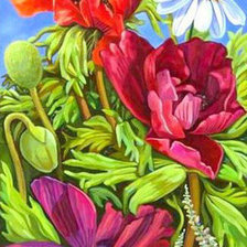 Схема вышивки «TRIPTICO AMAPOLAS 3»