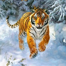 Схема вышивки «Тигр»