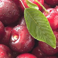 Схема вышивки «№1916341»