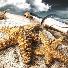 Схема вышивки «№1916355»