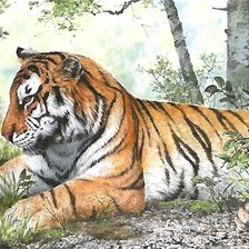 Схема вышивки «тигр»