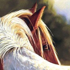 Схема вышивки «мир животных»