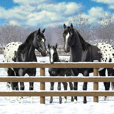 Схема вышивки «Лошади»