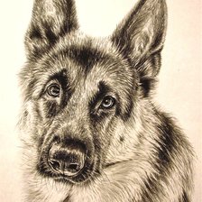 Схема вышивки «рисунок»