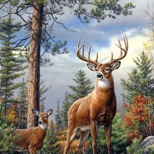 Схема вышивки «Forest Deer.»
