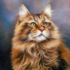 Схема вышивки «Main Coon.»