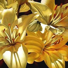 Схема вышивки «№1916787»