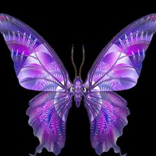 Схема вышивки «бабочка»