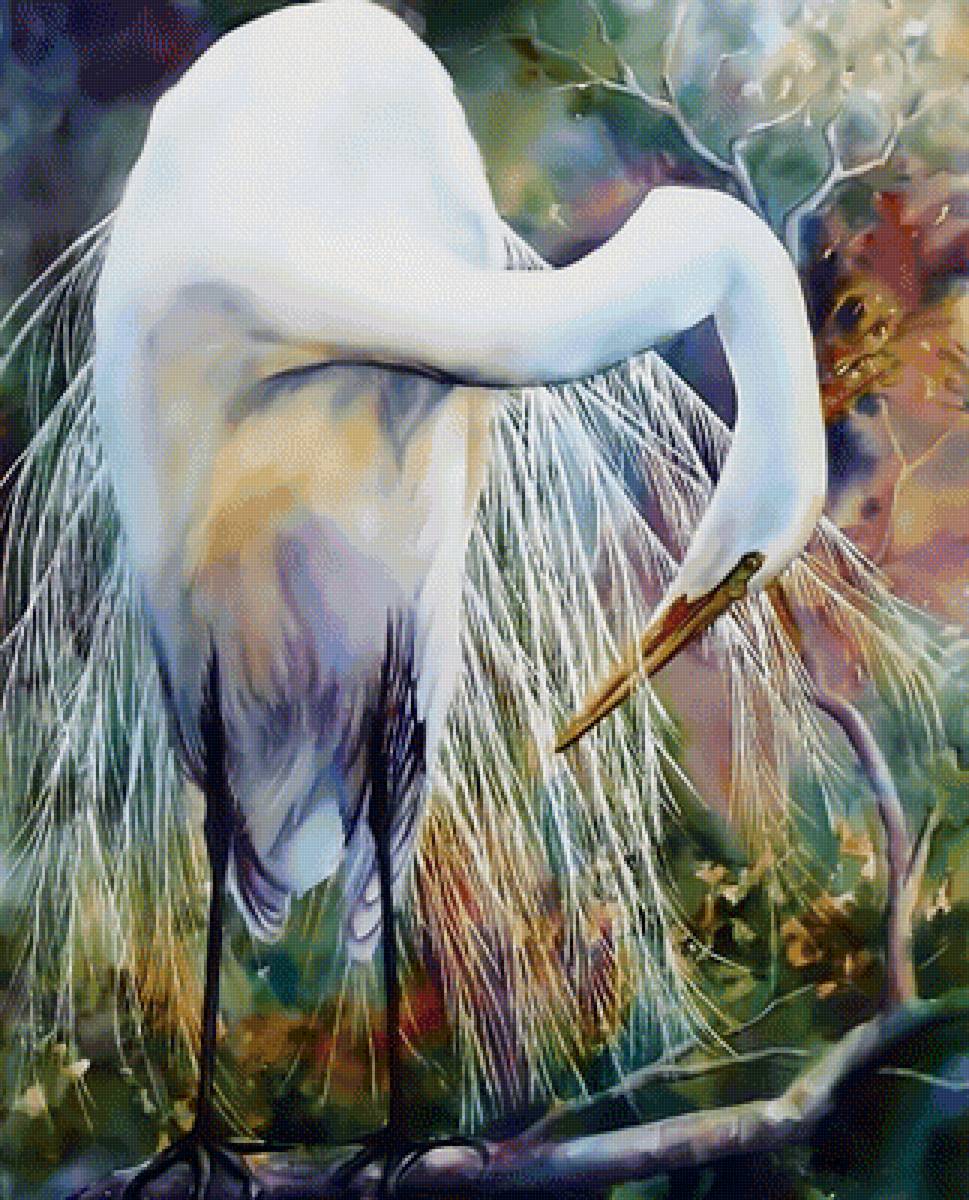 Белая цапля - белая цапля - предпросмотр