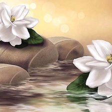 Схема вышивки «№1917172»