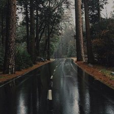 Схема вышивки «№1917264»