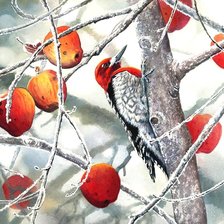 Схема вышивки «птица»