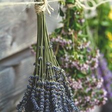 Схема вышивки «№1917435»