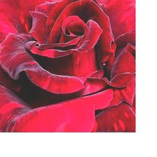 Схема вышивки «№1917464»