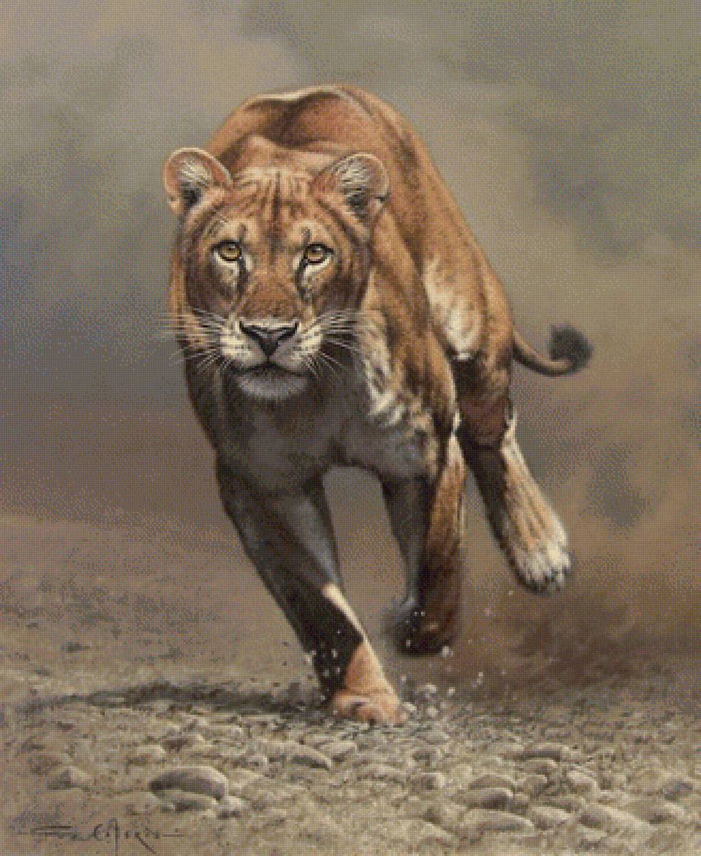 львица - кошка лев - предпросмотр