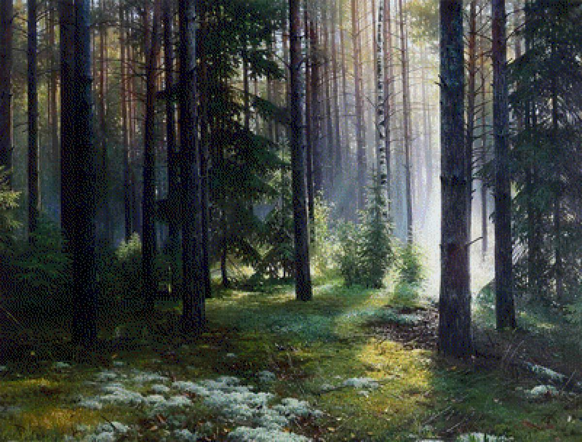 в лесу - #влесу - предпросмотр