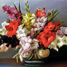 Гладиолусы