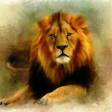 Схема вышивки «лев»