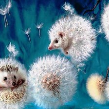 Схема вышивки «Ёжики-одуванчики»