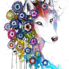 Схема вышивки «Lupo color»