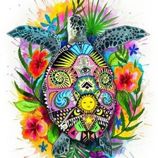 Схема вышивки «Tartaruga color»