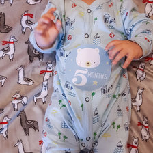 Схема вышивки «5 месяцев»