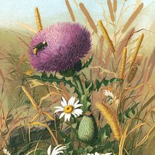 Схема вышивки «№1918678»