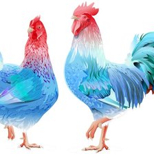 Схема вышивки «galline»