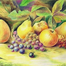 Схема вышивки «рисунок»