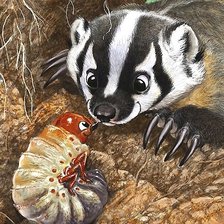 Схема вышивки «мир животных»