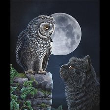 Схема вышивки «мир животных»