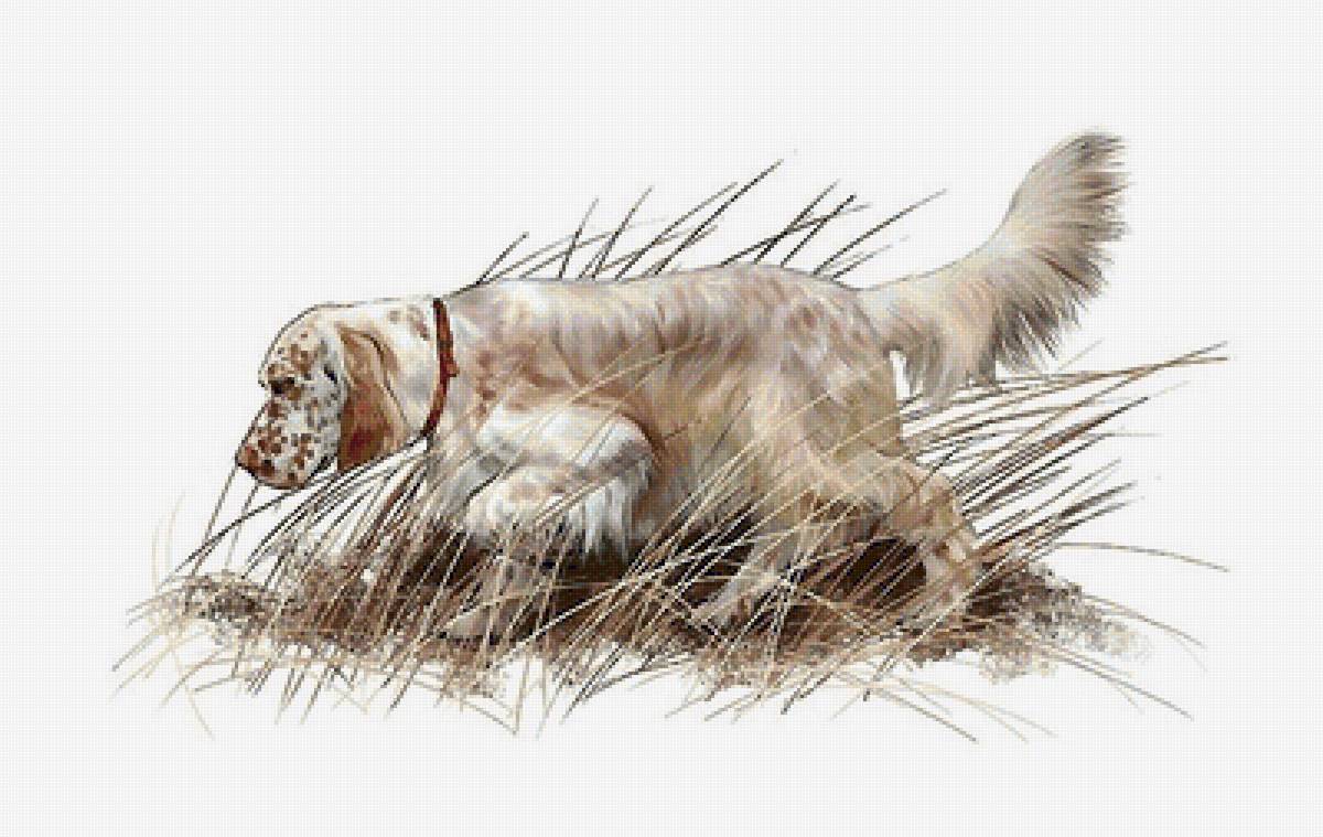 собака - собаки - предпросмотр