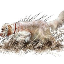 Схема вышивки «собака»