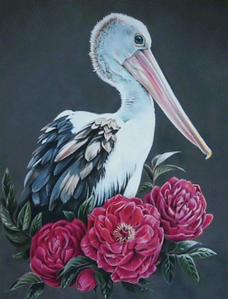 Пеликан в пионах - пеликан птица цветы - предпросмотр