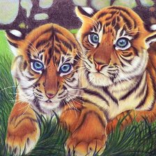 Схема вышивки «тигрята»