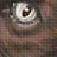 Предпросмотр схемы вышивки «котёнок» (№1919478)