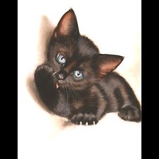 Схема вышивки «котёнок»