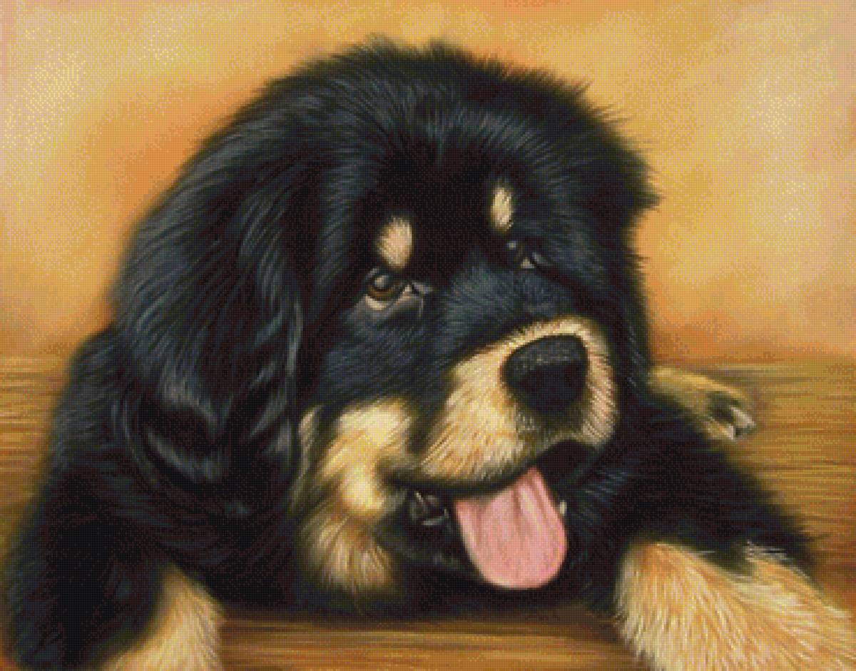 собака - собаки - предпросмотр