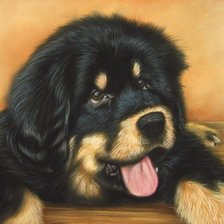 Схема вышивки «собака»